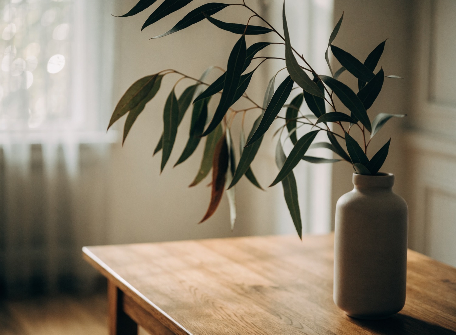 A vase of native gum leaves on a timber table in soft window light