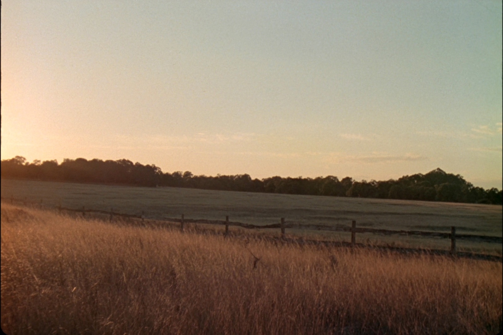 A wide paddock under a low golden dusk sky