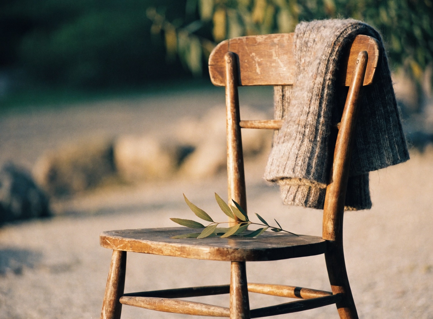 A worn wooden chair in golden light with a knitted blanket and a sprig of gum on the seat